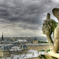 Gargoyle of Notre Dame cathedral